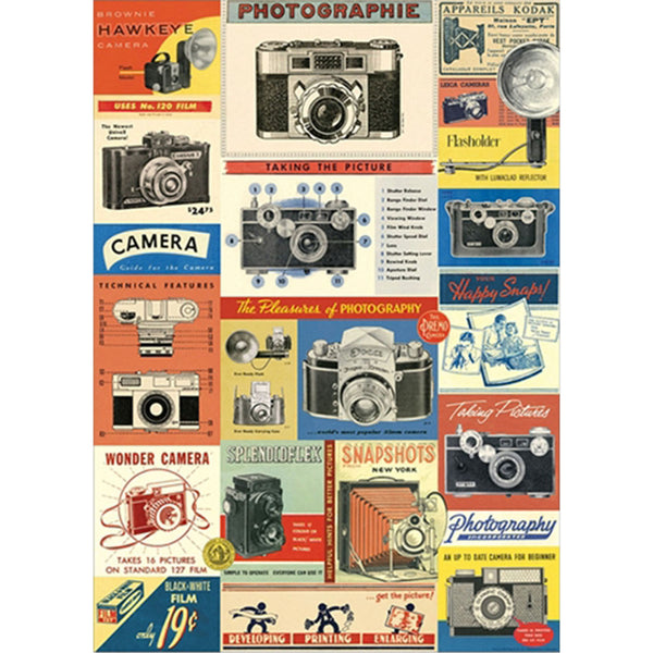 Póster decorativo en papel italiano Vintage Cameras