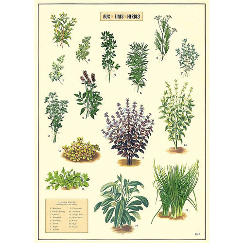 Póster decorativo en papel italiano Aux Fines Herbes