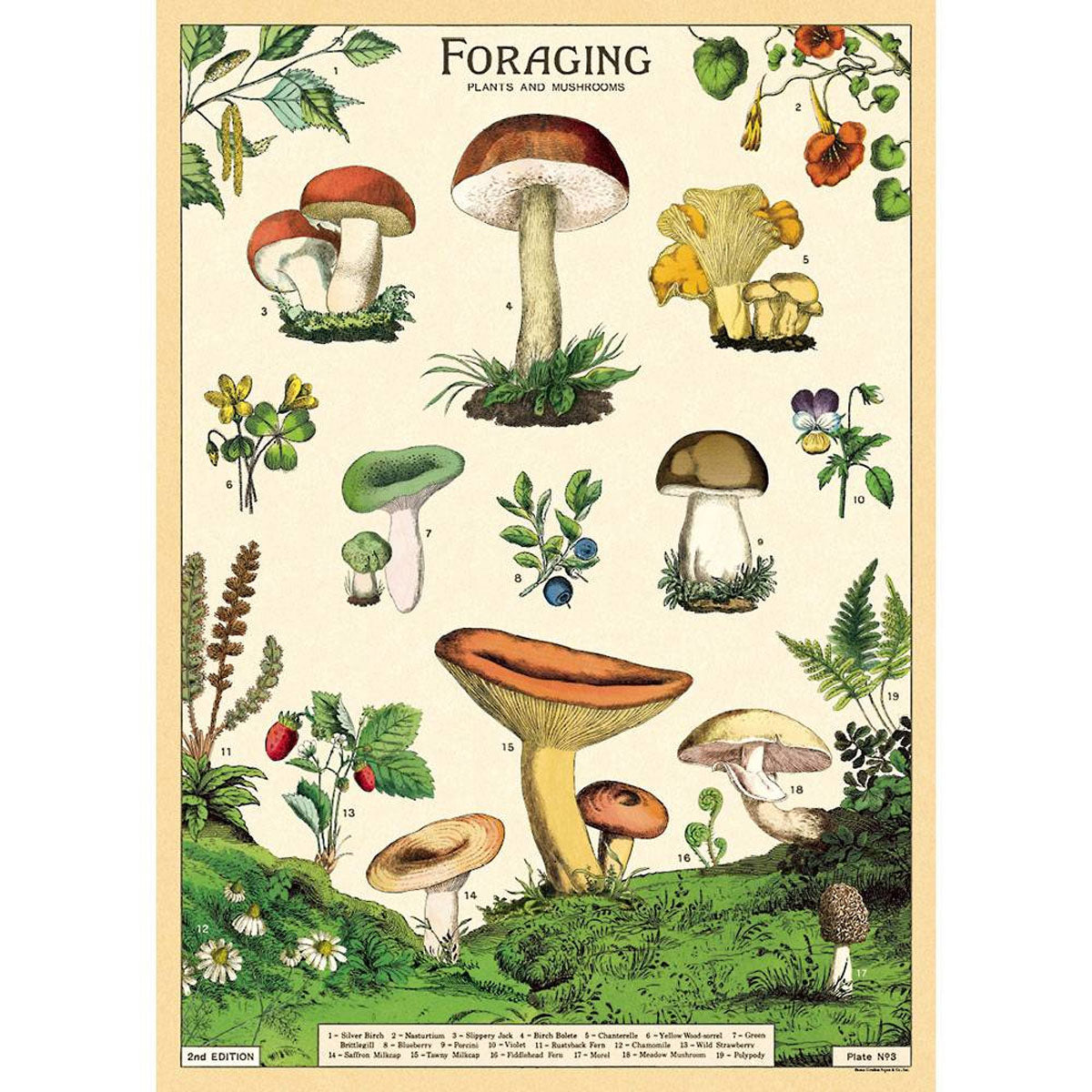 Póster decorativo en papel italiano Forage