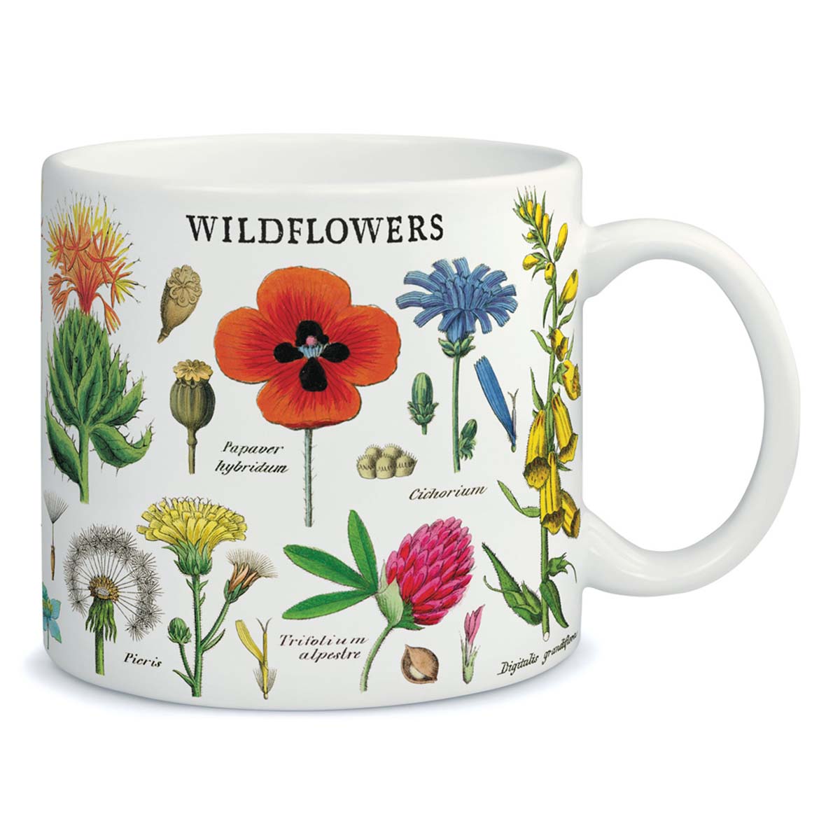 Taza cerámica estilo vintage Wildflowers