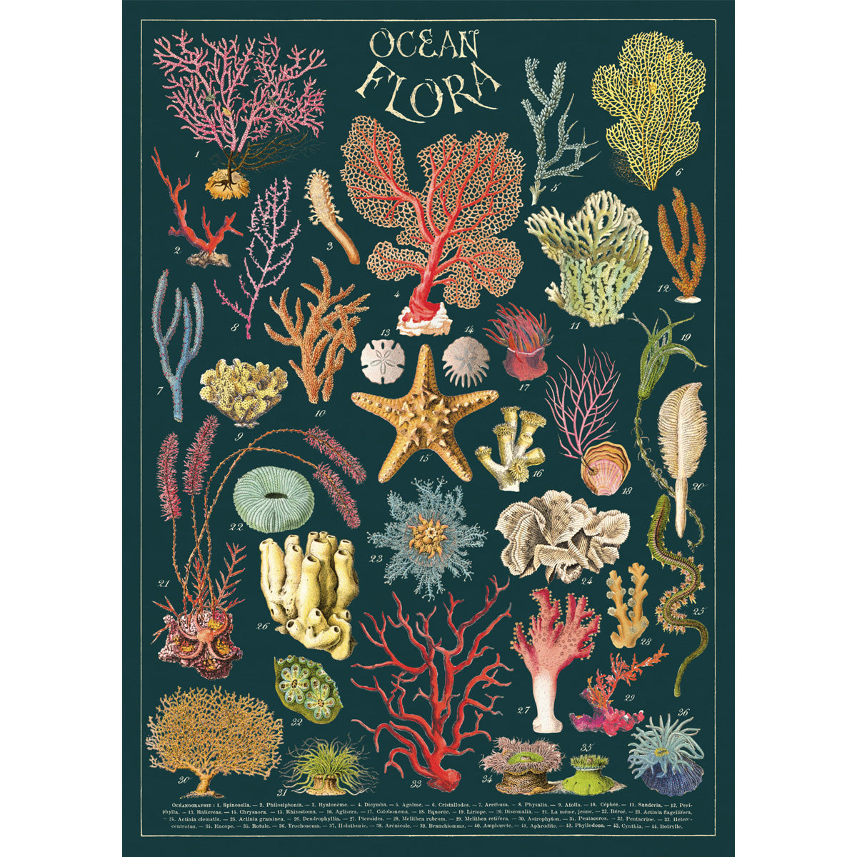 Póster decorativo en papel italiano Ocean Flora