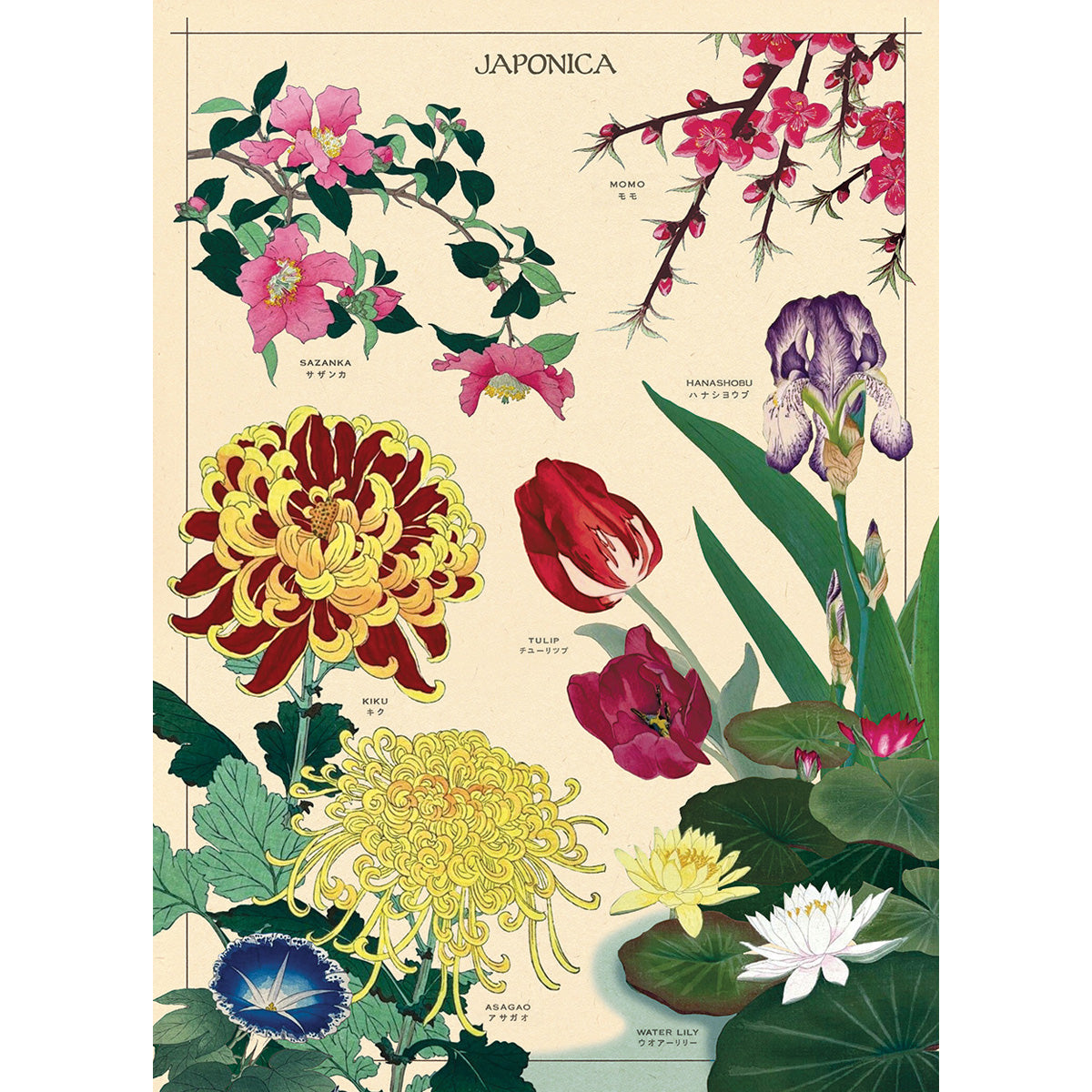 Póster decorativo en papel italiano Japonica