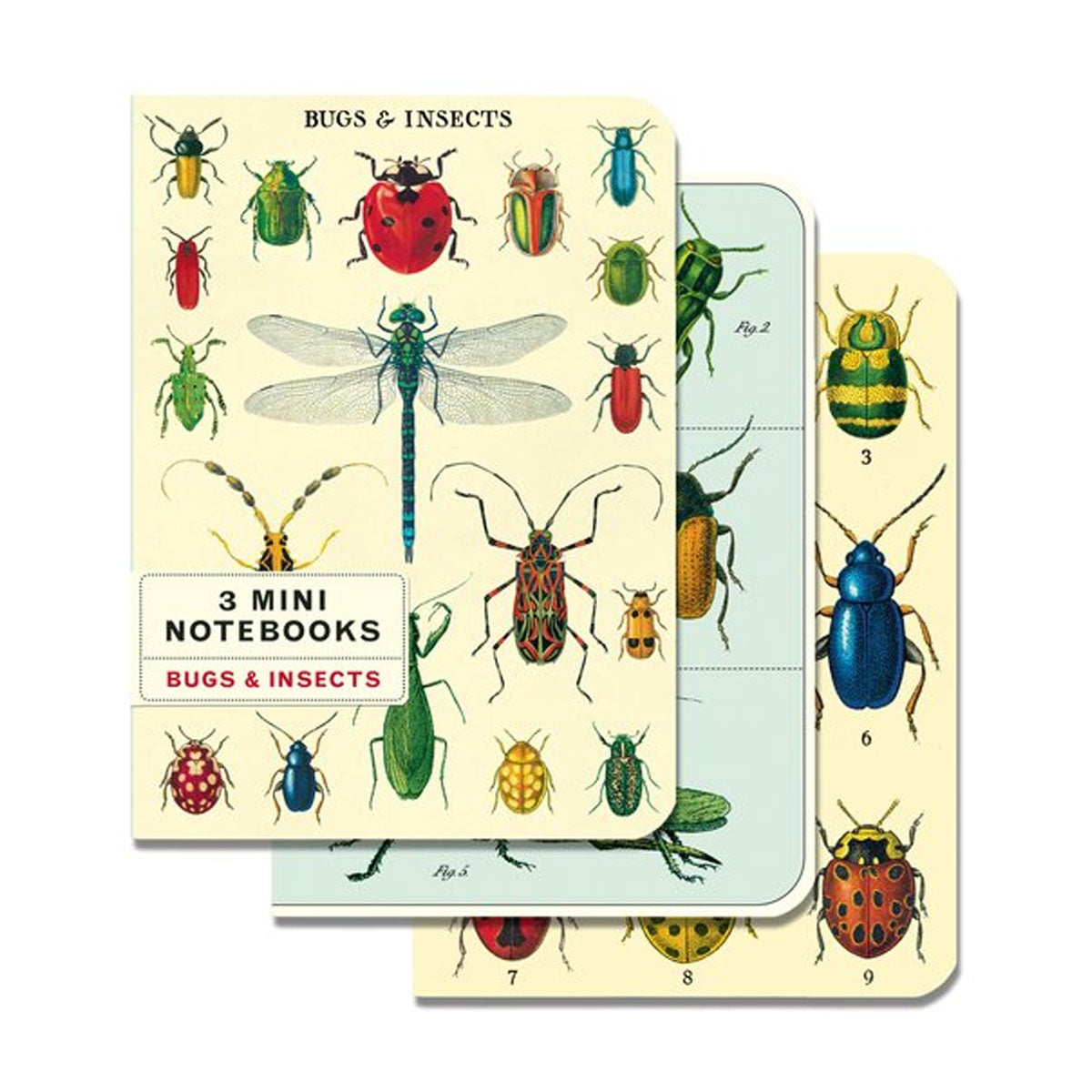 Mini Libreta Set 3 Bugs & Insects