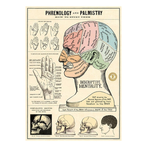 Póster decorativo en papel italiano  Phrenology & Palmistry