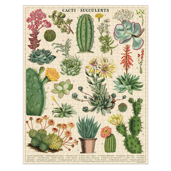 Rompecabezas Succulents