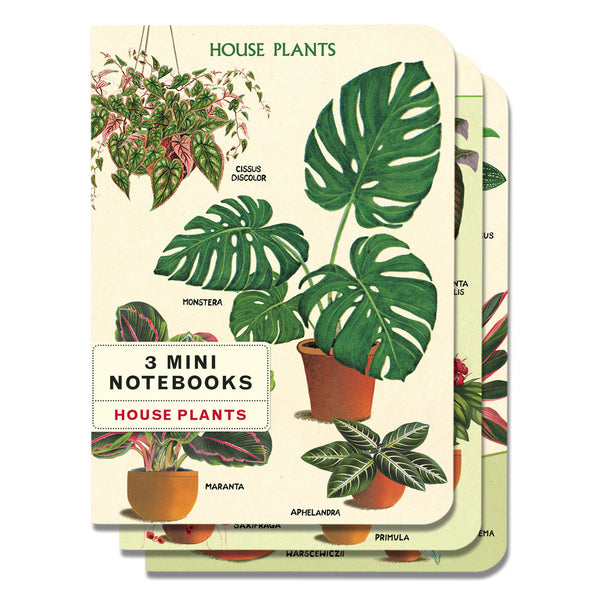 Mini Libreta Set de 3 House of Plants