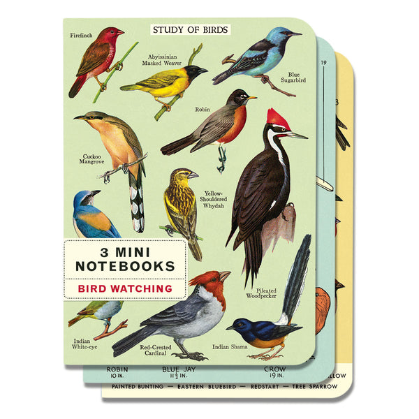 Mini Libreta Set de 3 Bird Watching Cavallini