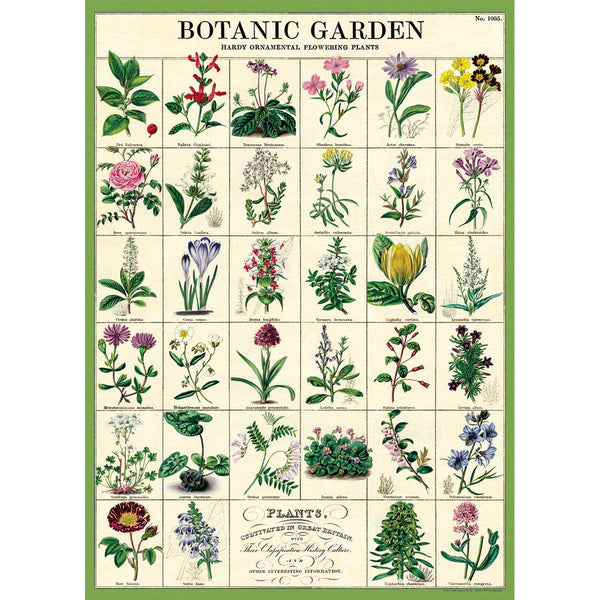 Póster decorativo en papel italiano  Botanic Garden