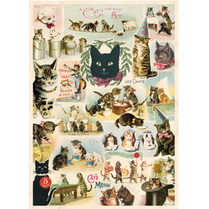 Póster decorativo en papel italiano  Cat Collage
