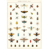 Póster decorativo en papel italiano Natural History Insects